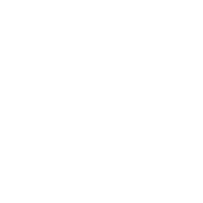Salmira Productions Logo